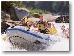 lower2.jpg (17201 bytes)