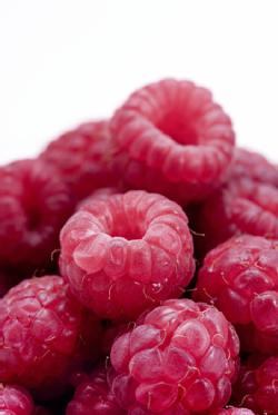 raspberry frost